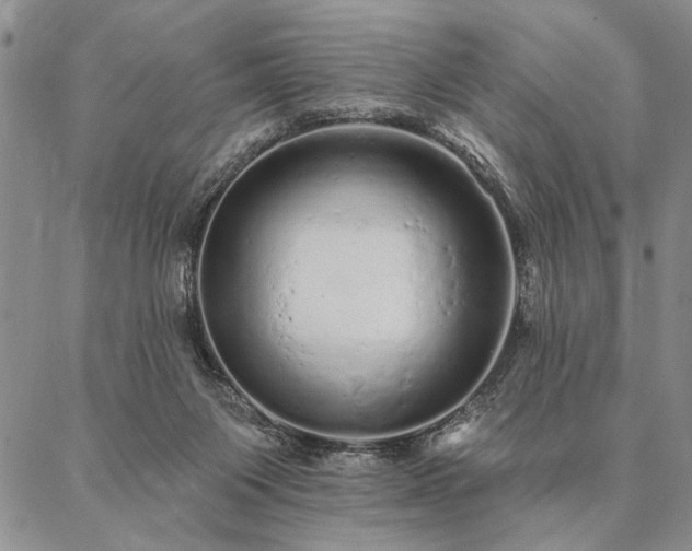 X0000087380119200704271607