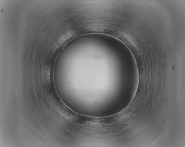 X0000087380120200704271607