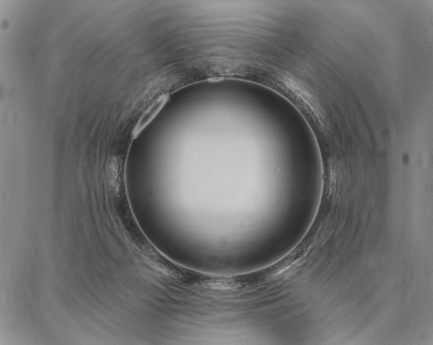 X0000087380121200704271607