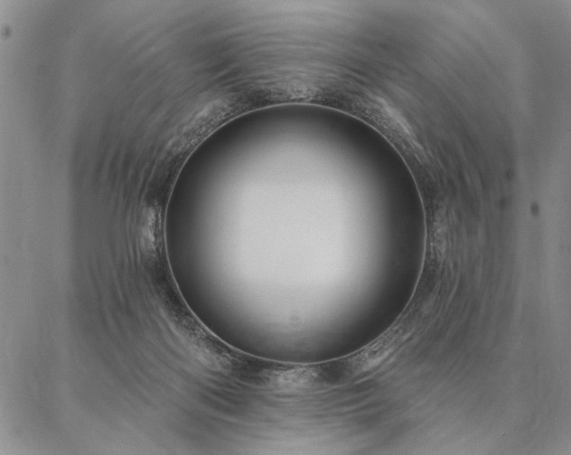 X0000087380122200704271607