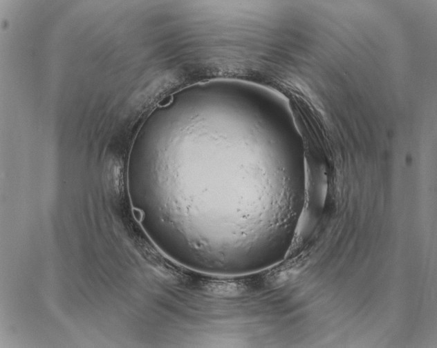 X0000087380123200704271607