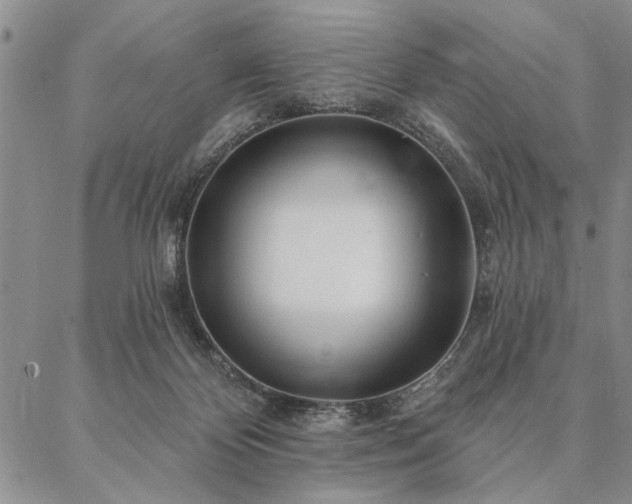 X0000087380124200704271607