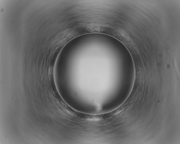 X0000087380125200704271607