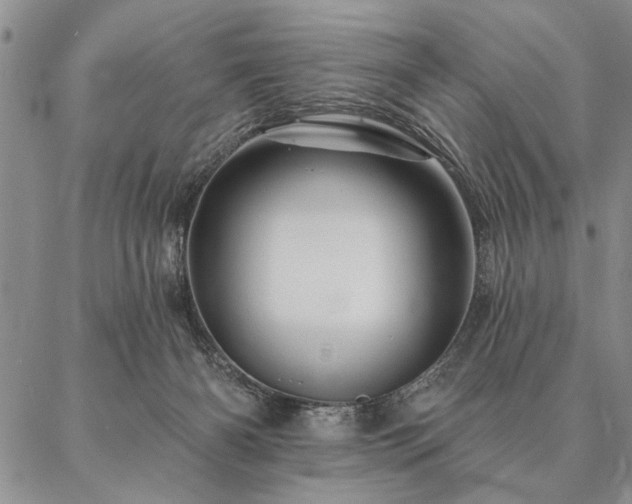 X0000087380126200704271607