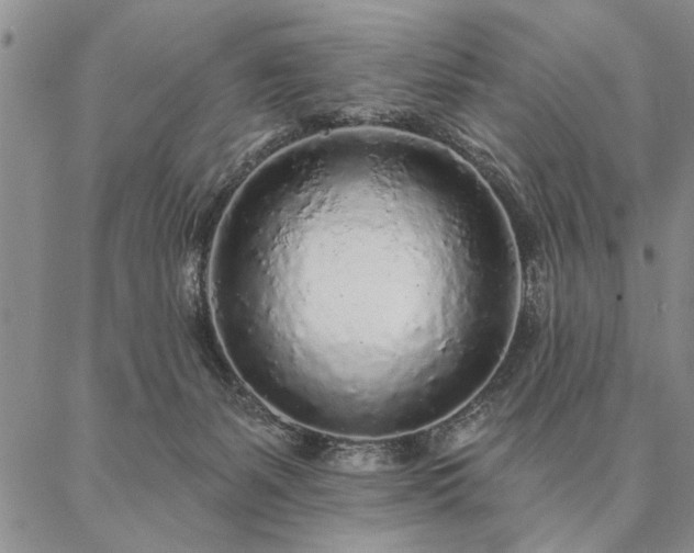 X0000087380127200704271607