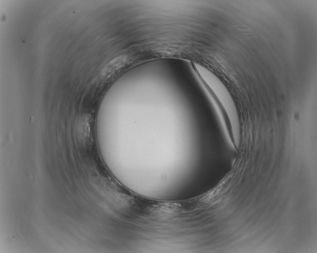 X0000087380128200704271607