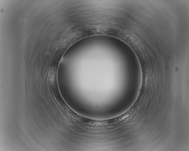 X0000087380129200704271607