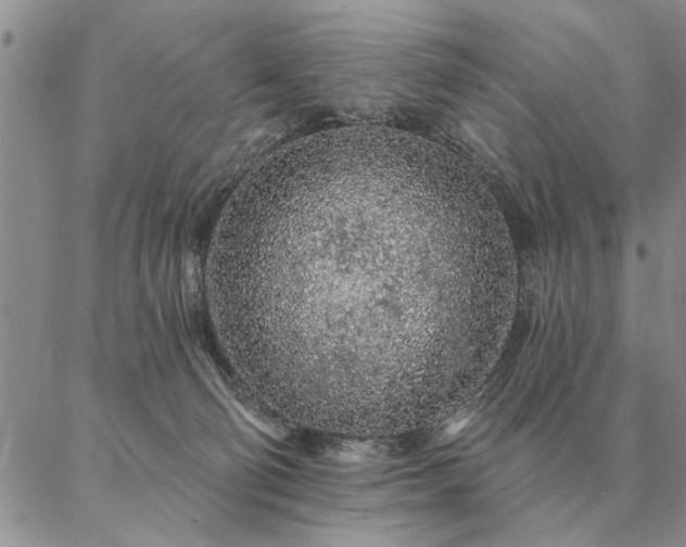 X0000087380130200704271607