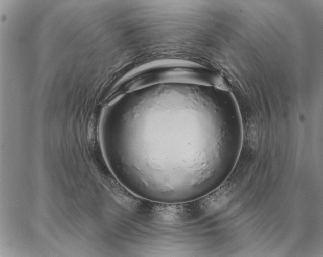 X0000087380131200704271607