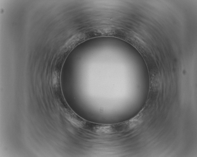 X0000087380132200704271607