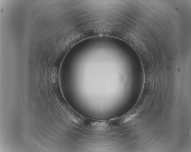 X0000087380133200704271607