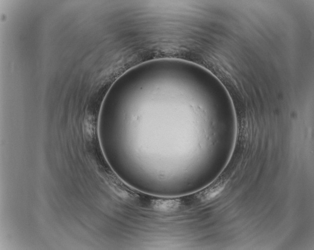 X0000087380135200704271607