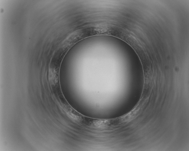 X0000087380136200704271607