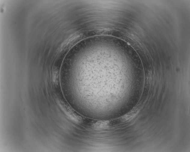 X0000087380138200704271606