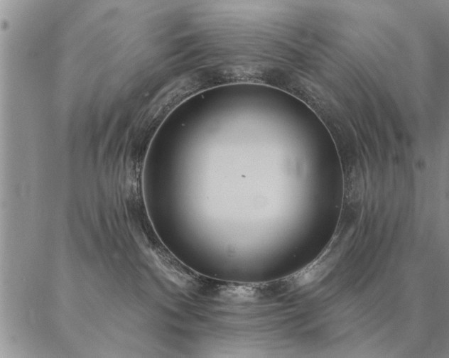 X0000087380140200704271606