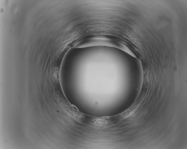 X0000087380141200704271606