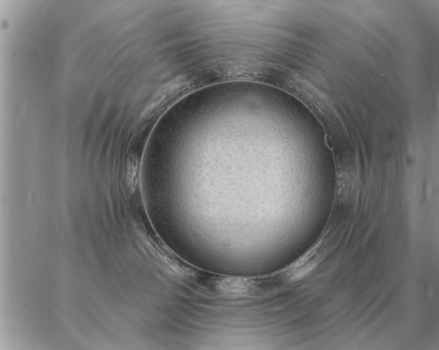 X0000087380142200704271606