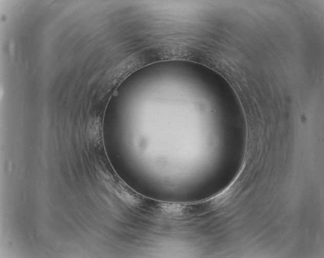 X0000087380144200704271606