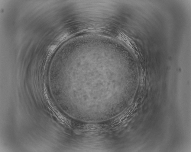 X0000087380145200704271606