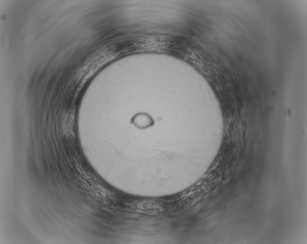 X0000087380146200704271606