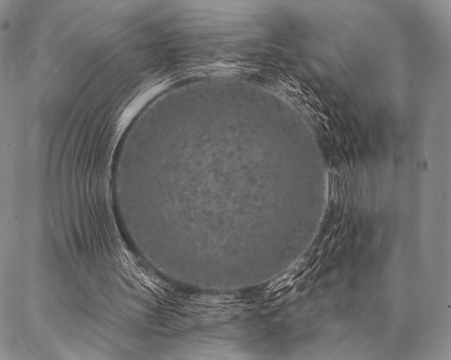 X0000087380147200704271606