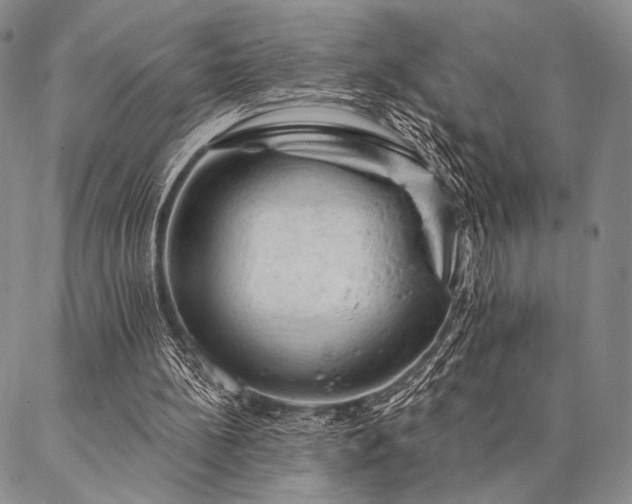 X0000087380148200704271606