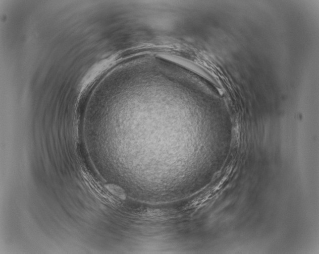 X0000087380149200704271606