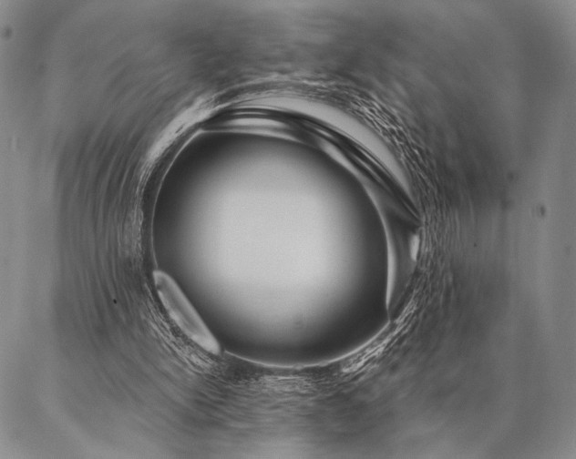 X0000087380150200704271606