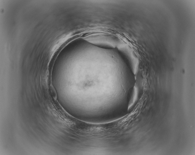 X0000087380152200704271606