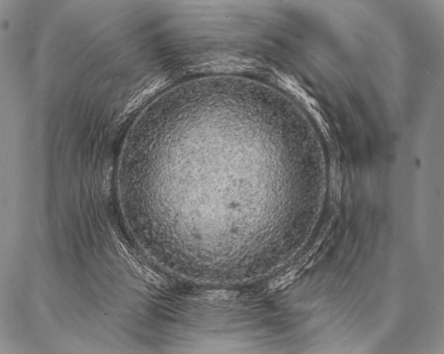 X0000087380153200704271606