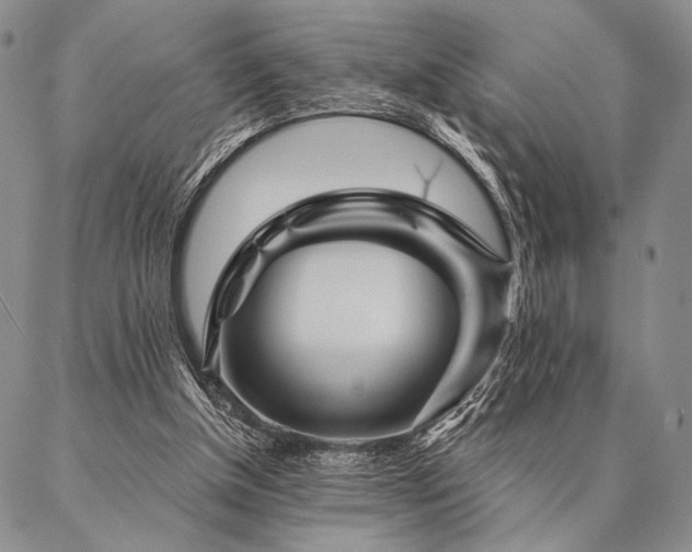 X0000087380154200704271606