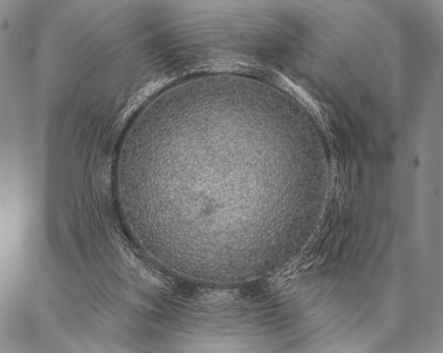 X0000087380155200704271606