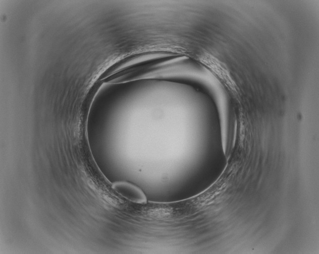 X0000087380156200704271606