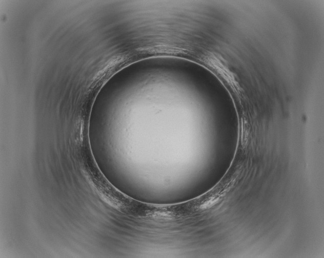 X0000087380157200704271606