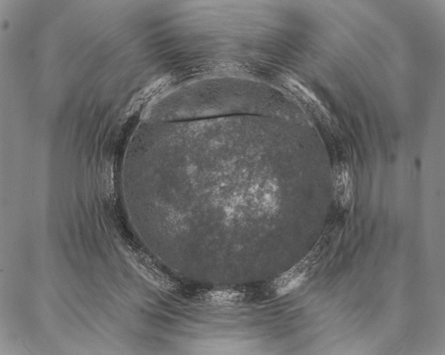 X0000087380158200704271606