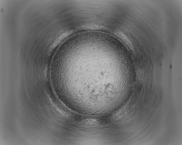 X0000087380159200704271606