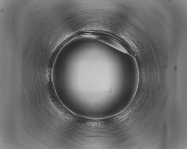 X0000087380160200704271606