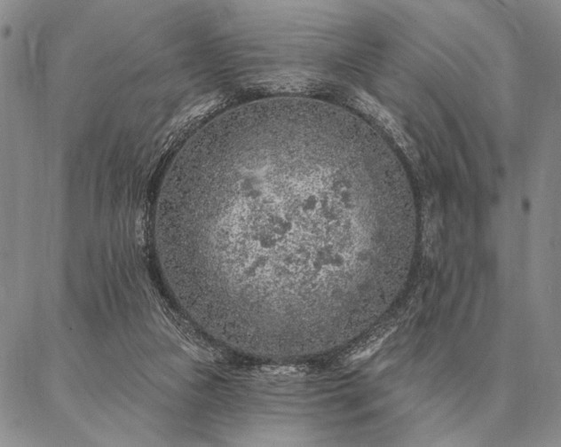 X0000087380161200704271606