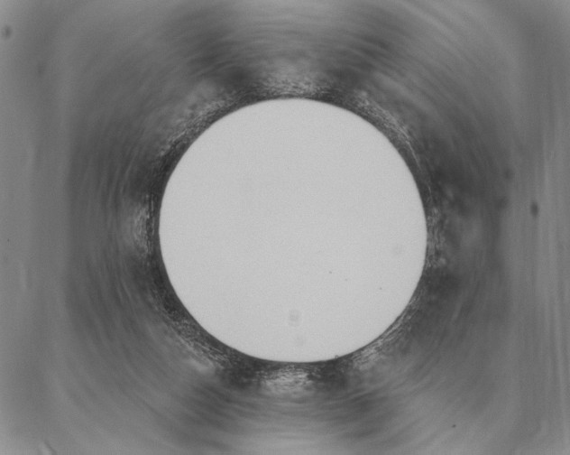 X0000087380162200704271606