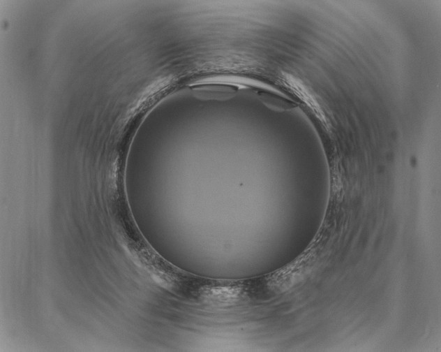 X0000087380163200704271606