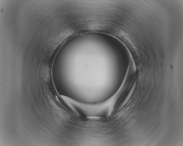 X0000087380164200704271606