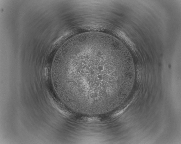 X0000087380165200704271606