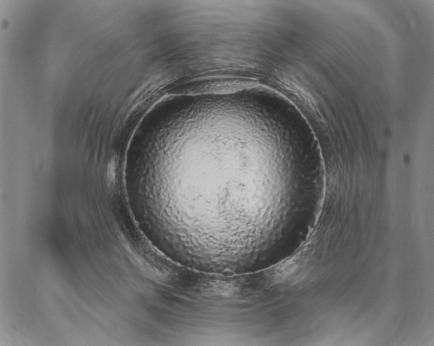 X0000087380166200704271606