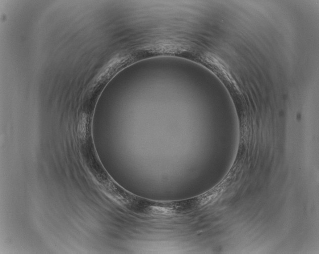 X0000087380167200704271606