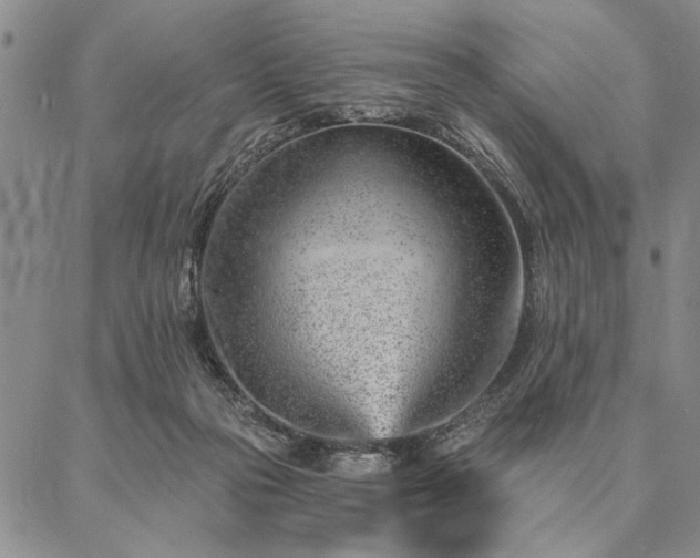 X0000087380169200704271606