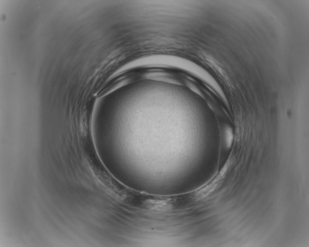 X0000087380170200704271606