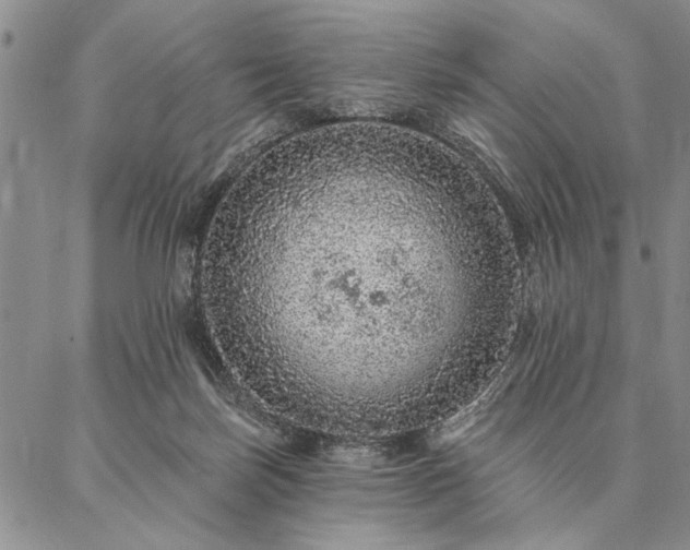 X0000087380171200704271606