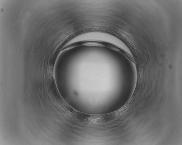 X0000087380172200704271606