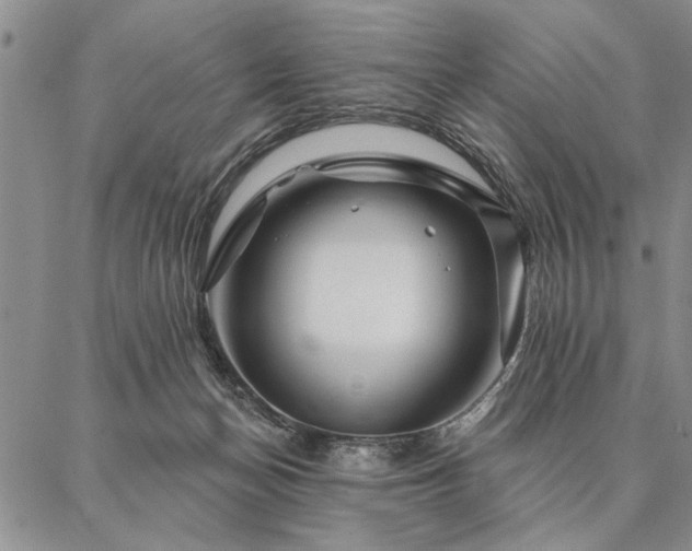 X0000087380174200704271606