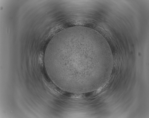 X0000087380175200704271606